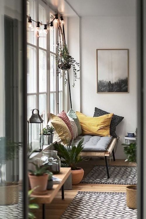 家庭软装可放哪些绿植，客厅怎么布置？